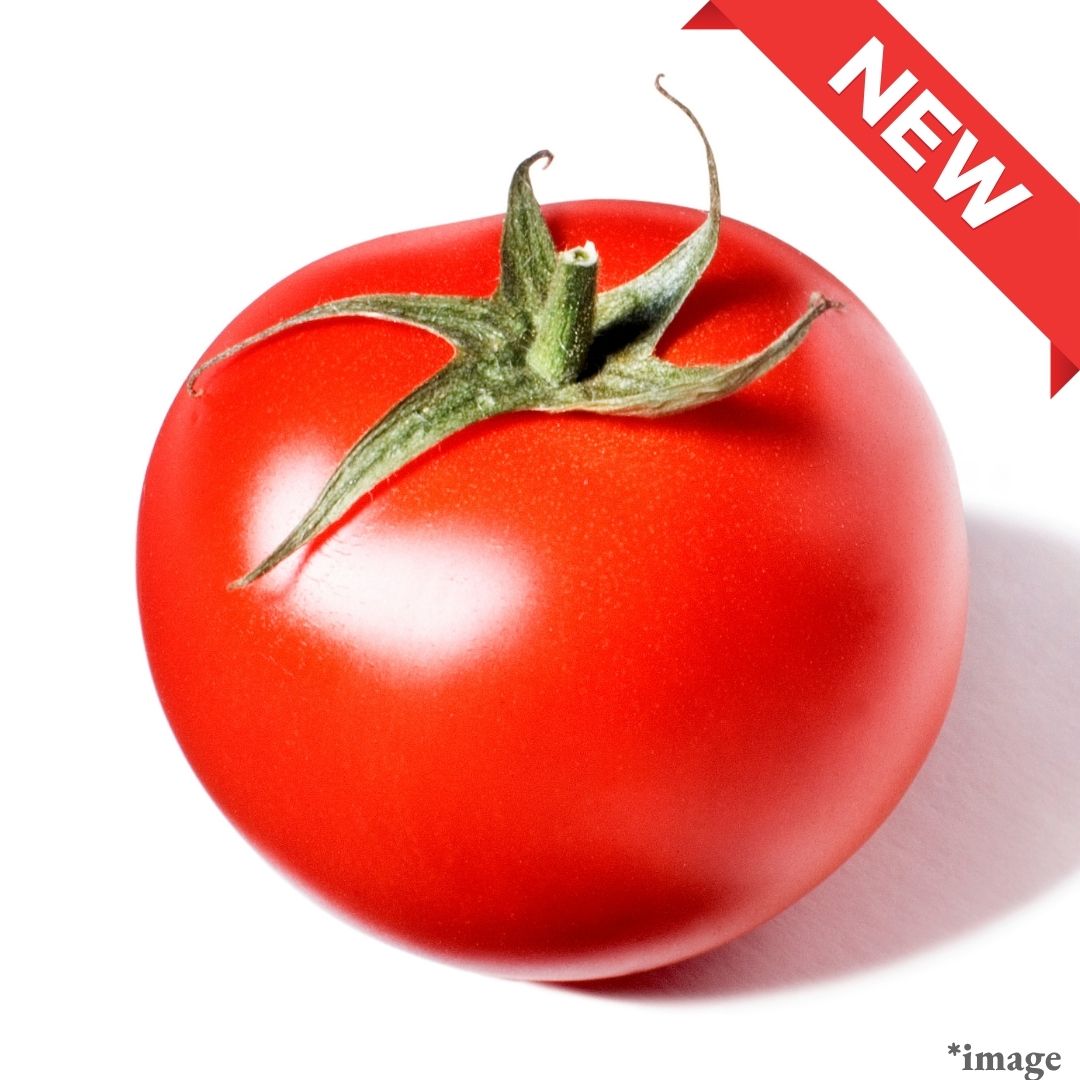 "Fukuoka Tomato", (approx.140g) | Delivery: 17th-18th Oct