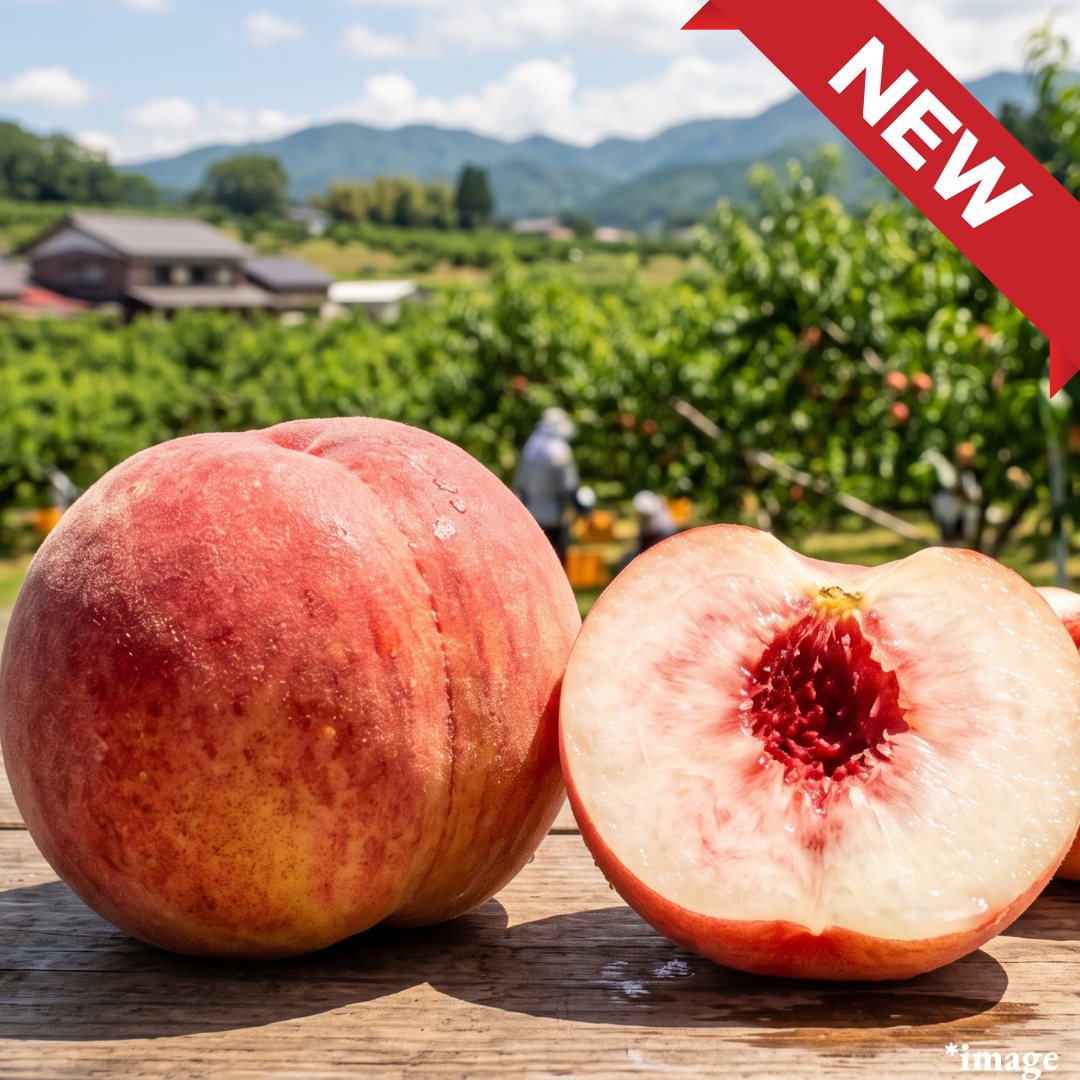 "Akatsuki Peach (2L-size/High Grade)", Japan’s Signature Firm Peach with a Crisp Bite, Approx.600g+(2pcs) | Delivery: 24th~25th Jul