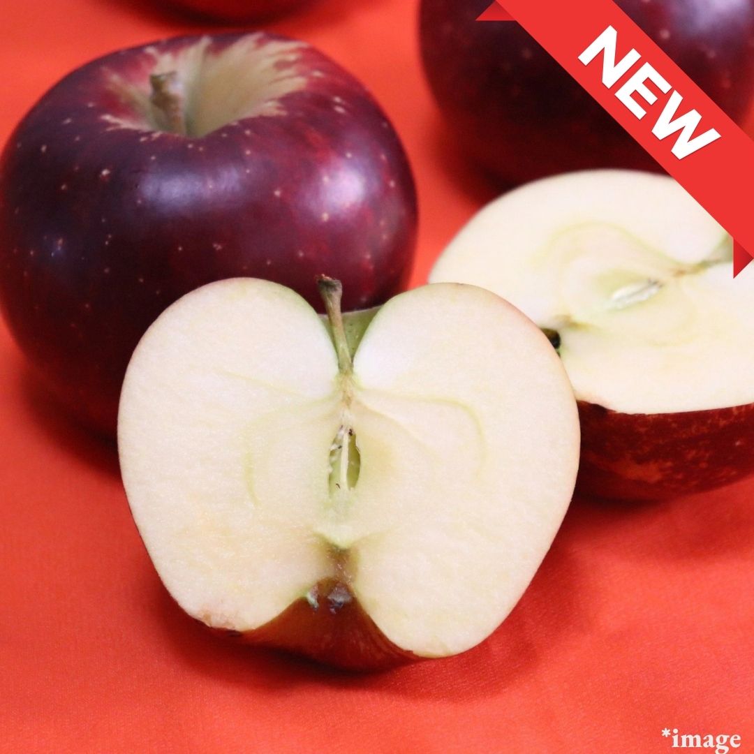 "Akibae (High Grade)", The Deep Red of Nagano’s ‘Apple Trio, (2pcs/600g) | Delivery: 17th-18th Oct