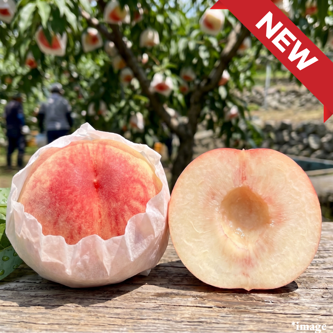 "Wakayama Peach (L~2L-size/Top Grade)", Peach-Mountain Heritage Peach, 400 Years of Silky Sweetness, Floral Aroma, Approx.550g+(2pcs) | Delivery: 17th~18th Jul