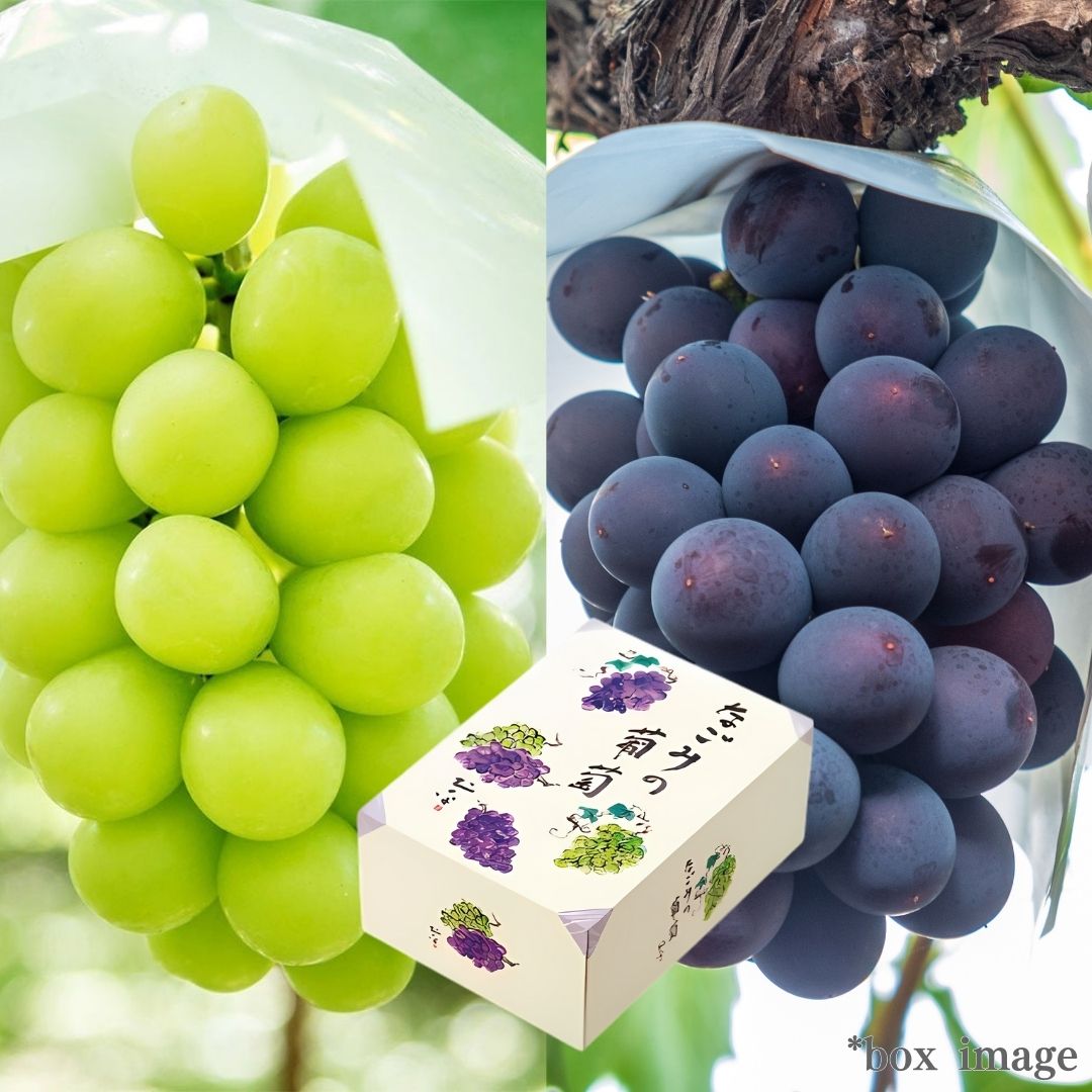 2 types Grape Gift Box "Shine Muscat & Kyoho (High Grade)" | Delivery: 29th~30th Aug - Tokyo Fresh Direct