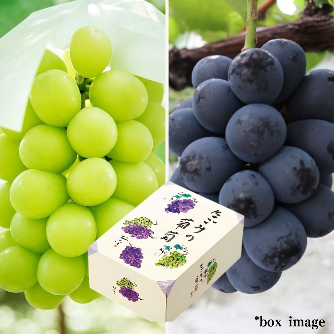 2 types Grape Gift Box "Shine Muscat & Nagano Purple" | Delivery: 5th~6th Sep - Tokyo Fresh Direct