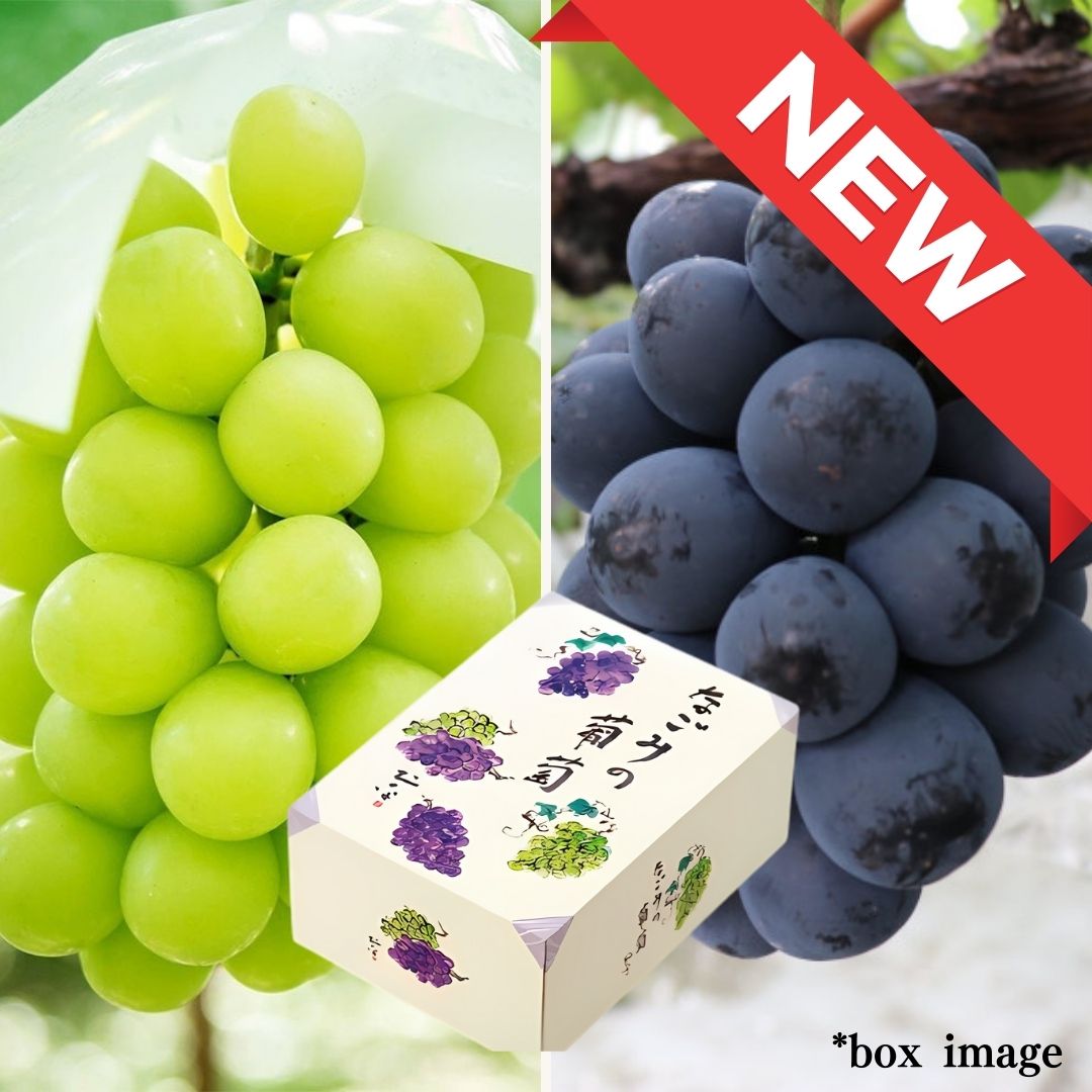 2 types Grape Gift Box "Shine Muscat & Nagano Purple" | Delivery: 5th~6th Sep - Tokyo Fresh Direct