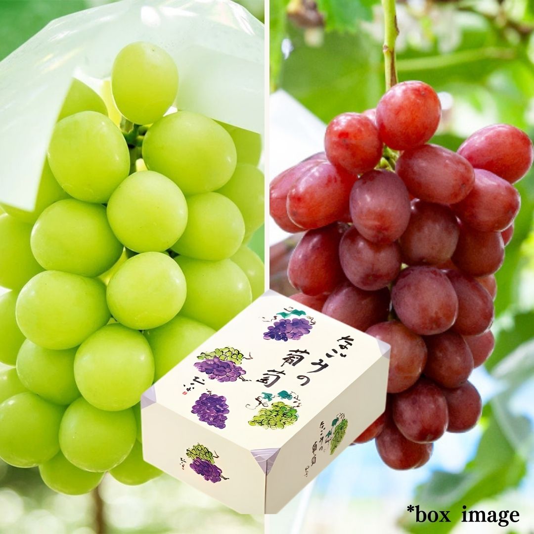 2 types Grape Gift Box "Shine Muscat & Queen Rouge" | Delivery: 5th~6th Sep - Tokyo Fresh Direct