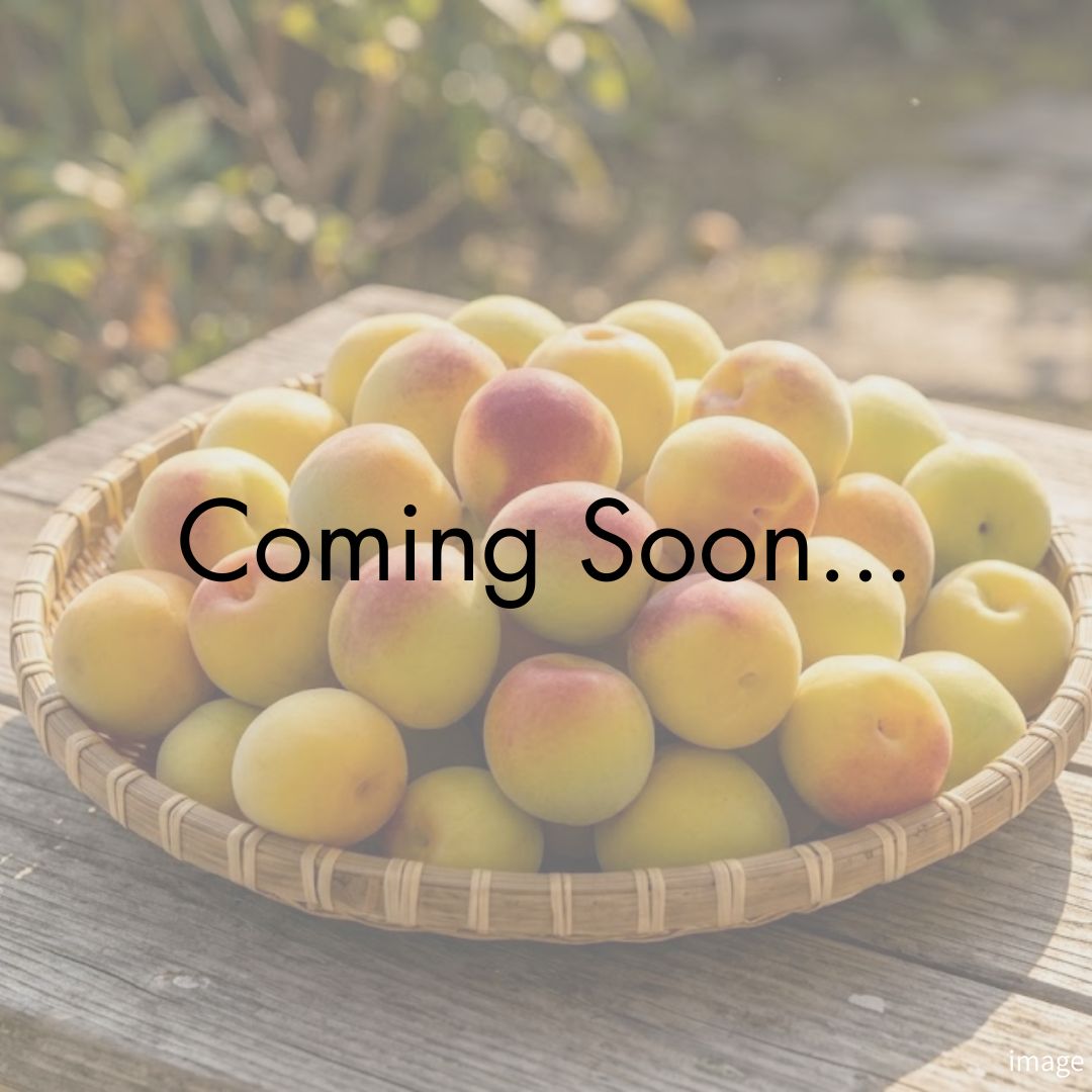 Wakayama Premium Ripe Nanko Ume | Rich Aroma & Ultra-Soft Flesh | Ideal for Jam, Syrup & Desserts | Seasonal Luxury Fruit | Approx. 1kg | Delivery: 3rd July–13th July