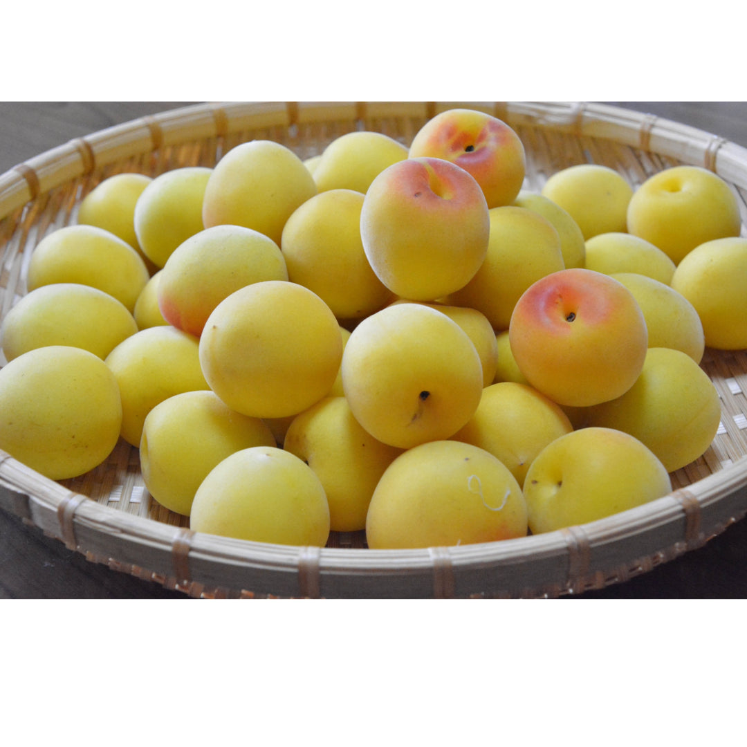 Ripe Nanko Ume (Premium Wakayama Plum)  1KG [13th-21st June Delivery]