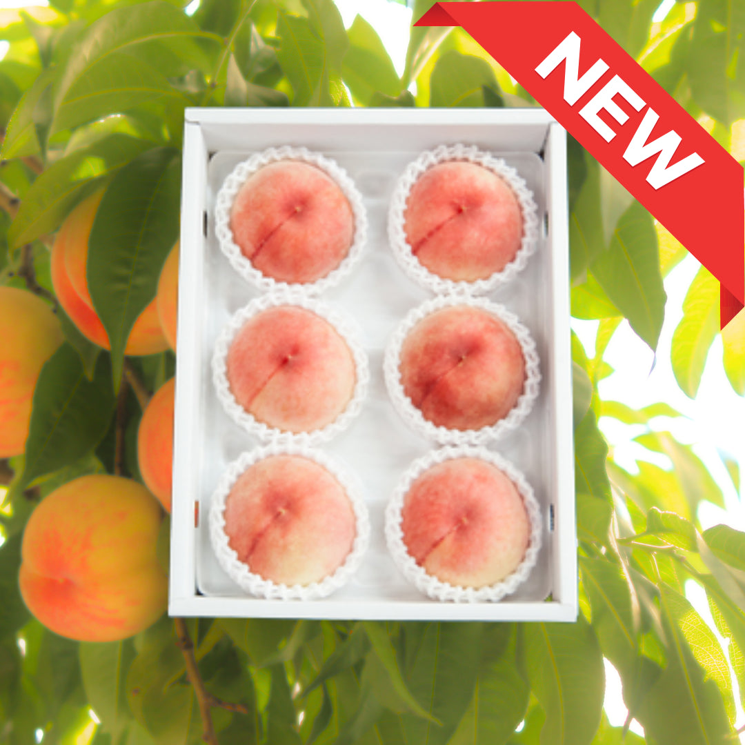 "Hikawa-Hakuhou (Top Grade)" from Yamanashi.  [Delivery 16th~17th May]