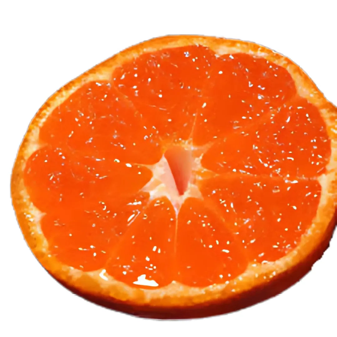 "Hama no Hime (Top Grade)" approx.500g, Selected High-Sugar Oranges Blessed by the "3 lights" from Ehime [Delivery between 13th~14th Dec]