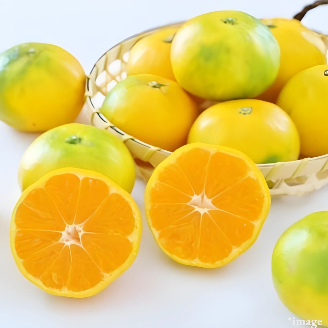 " Early Mikan (High Grade)", Sweet & Juicy Fukuoka's Mikan from Japan’s Fruit Kingdom”, (M size /approx.500g) | Delivery: 17th-18th Oct