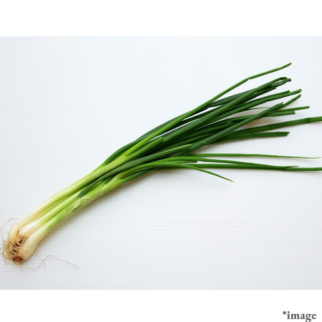 "Fukuoka Spring Onion (Scallion)", (approx.100g) | Delivery: 17th-18th Oct