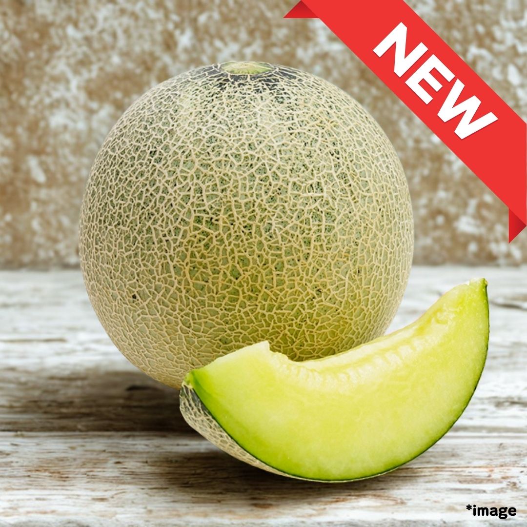 "Andes Melons (High Grade) Gift Box", approx.1.2kg , nutrient-rich orange melon | Delivery: 20th～21th June