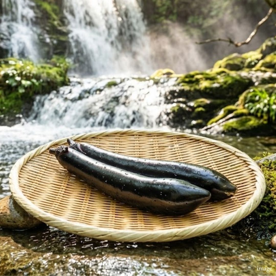 Japanese Long Eggplant (Naga Nasu) – Tender Texture & Delicate Flavor | Premium Japanese Vegetable