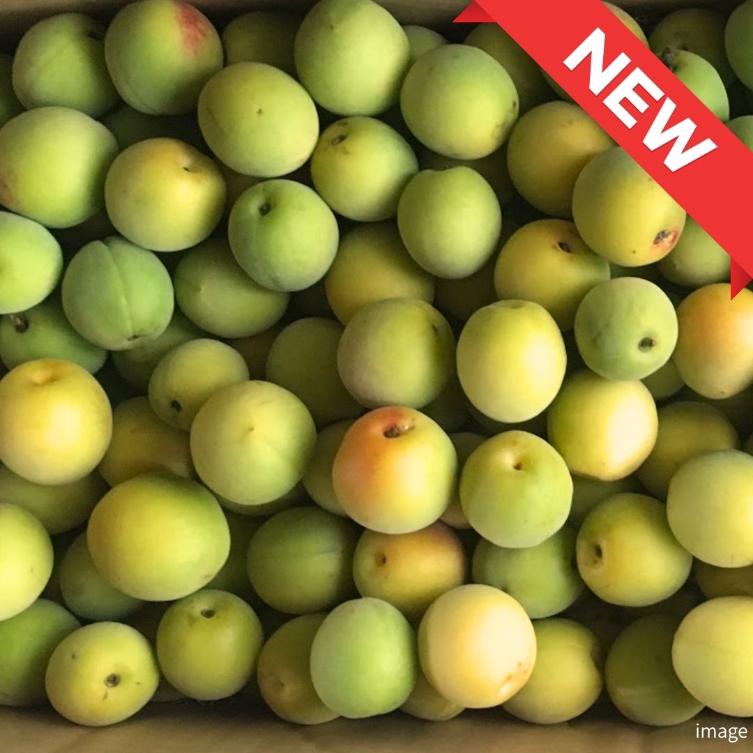 Gunma Premium Shirakaga Ume" – Finest Japanese Green Plums | Artisan Quality for Umeshu & Umeboshi | Seasonal Luxury Fruit | Approx. 1kg Pack | Delivery: 5th-13th June
