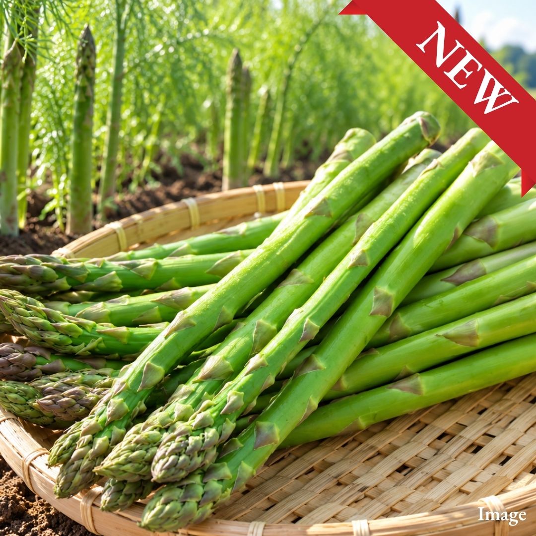 Niigata Premium Asparagus –  M Size approx. 200g | Exceptionally Juicy | Delivery: 9th~10th Oct