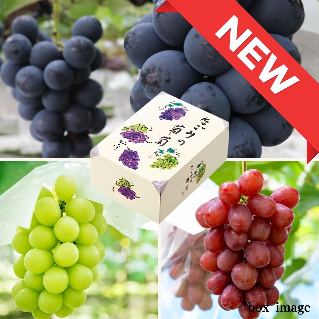 3 types Grape Gift Box "Shine Muscat & Queen Rouge & Nagano Purple" | Delivery: 5th~6th Sep - Tokyo Fresh Direct
