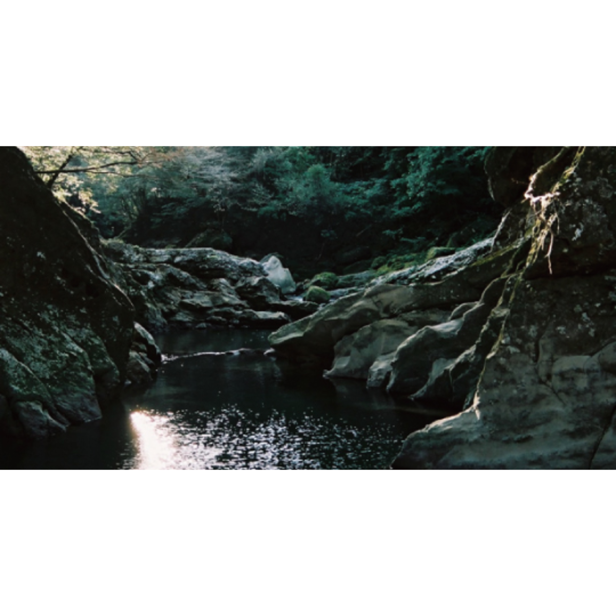 MIYAZAKI SPECIAL BOX Celebrate Chinese New Year with the Spirit of Miyazaki