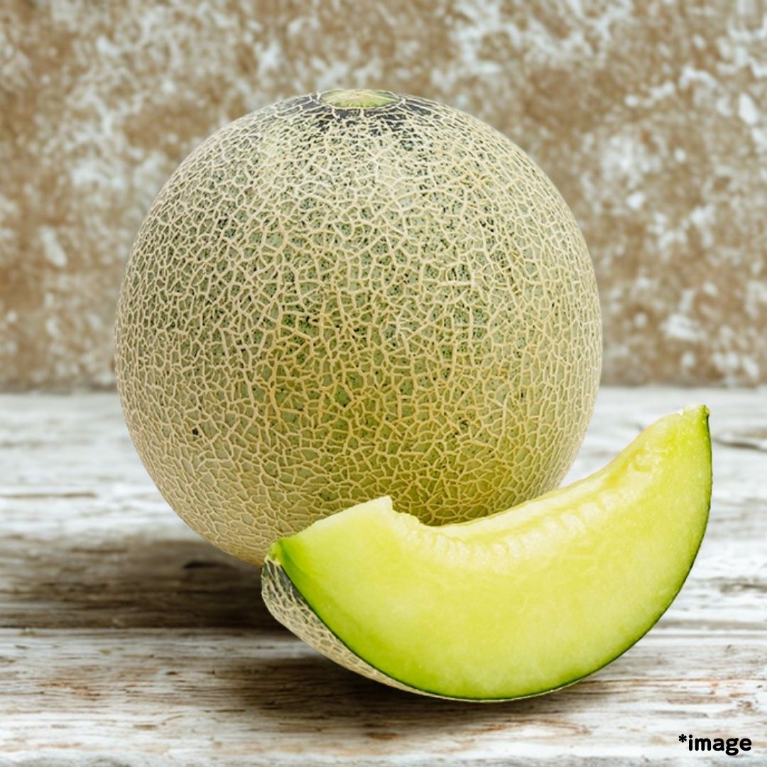 "Andes Melons (High Grade) Gift Box", approx.1.2kg , nutrient-rich orange melon | Delivery: 20th～21th June