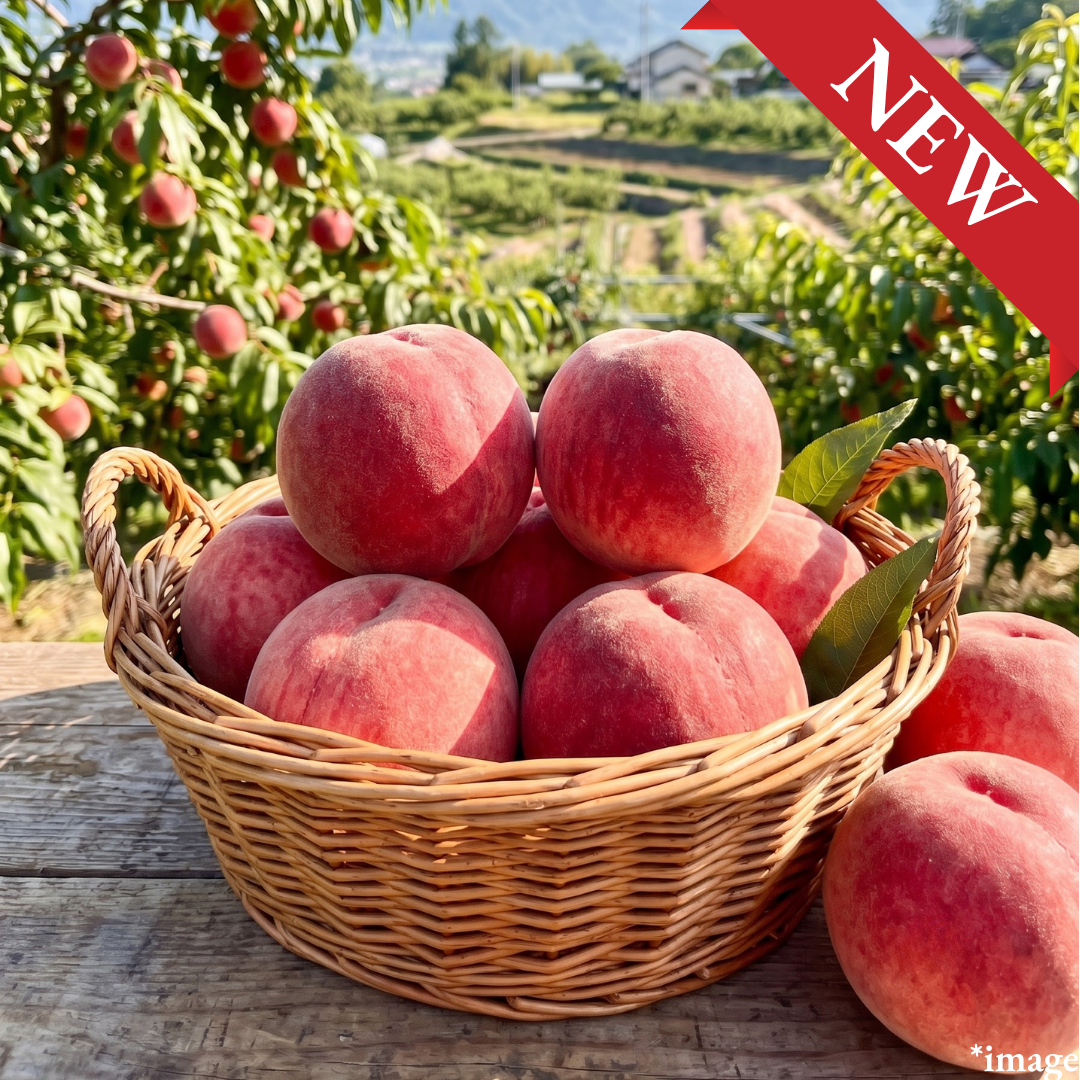 "Kanoiwa White Peach (2L-size/High Grade)", 91–100 Days from Full Bloom, Approx.600g(2pcs) | Delivery: 21st~22nd Aug