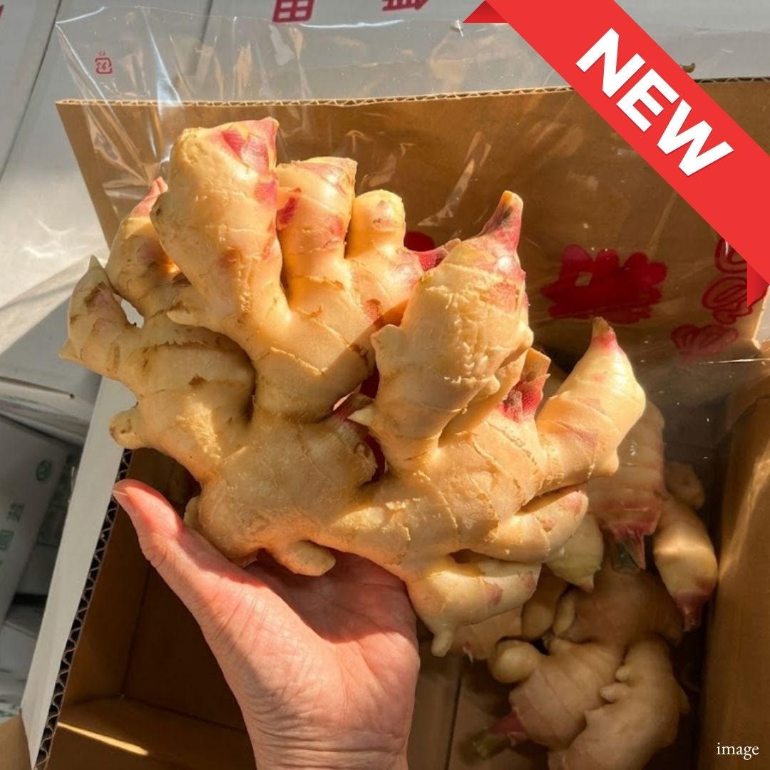 Japanese New Ginger “Shin Shoga” – Fresh Early Summer Harvest | Delicate Sweetness & Refreshing Aroma | Premium Japanese Vegetable