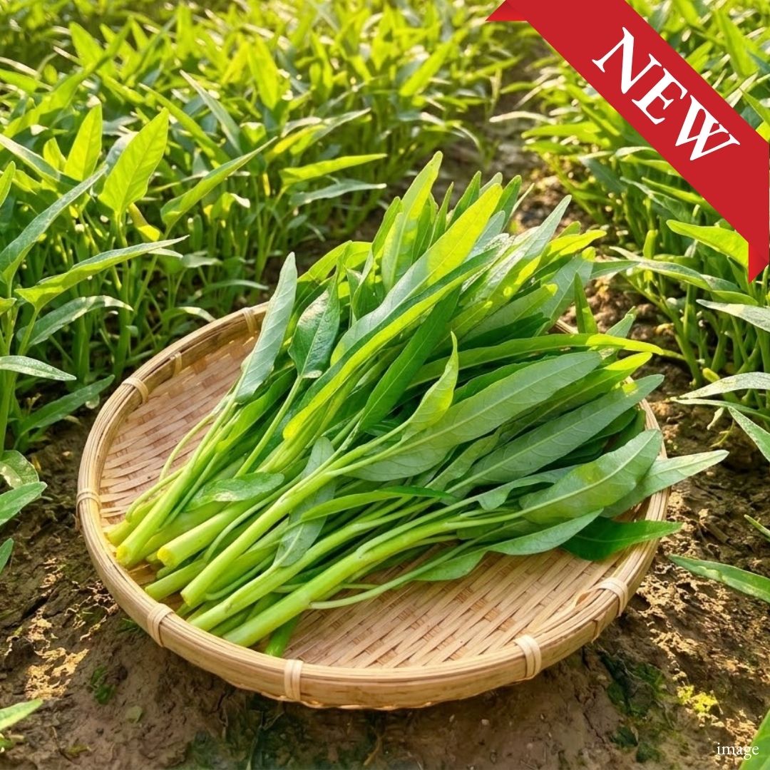 Aichi Water Spinach (Kong Xin Cai) | Crisp Stems, Tender Leaves & Fresh Seasonal Greens
