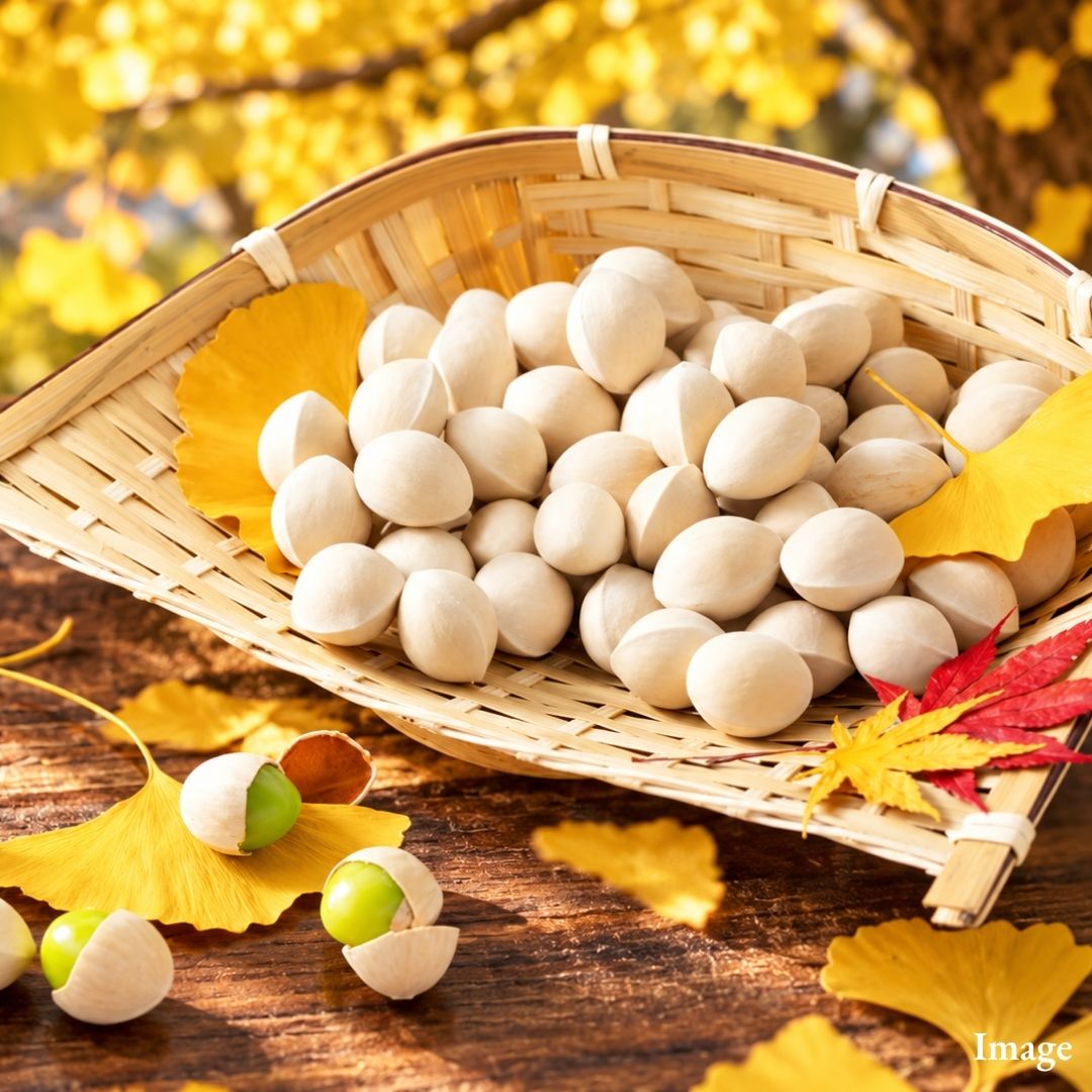 "Japanese Ginkgo Nuts", Fragrant and Rich Autumn Ginkgo Nuts with a Soft, Chewy Texture, 500g Pack | Delivery: 9th~10th Oct