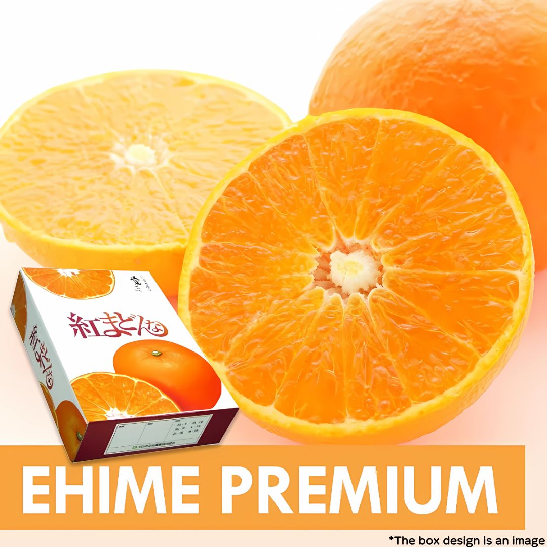 Japanese Premium Orange "Benimadonna (紅まどんな) 3kg Gift Box (High Grade)" miraculous sweet-tasting fruit from Ehime [Delivery between 20th~21st Dec]