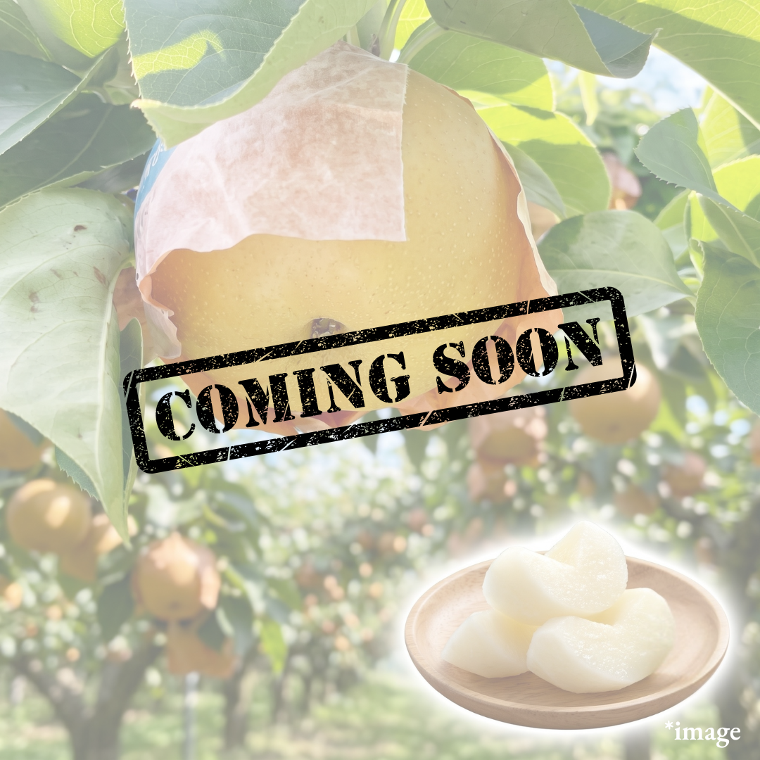 "Nansui (2L-size/High Grade)", Japan’s Top-Class Sweet Pear, Approx.600g+(2pcs) | Delivery: 18th-19th Sep