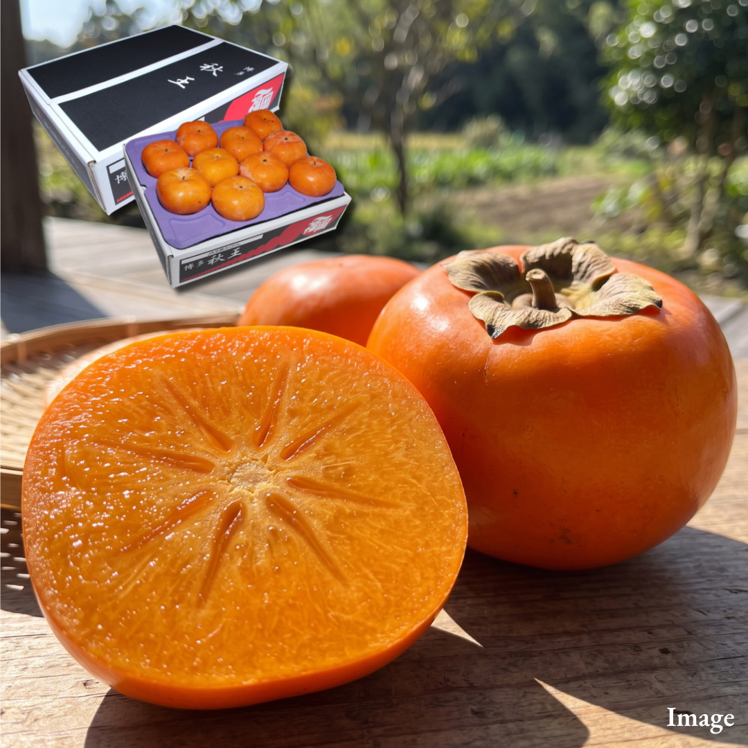 Branded Fukuoka Persimmon “Akioh (L~3L-size/Rare Fruits)”,Born from Two of Japan’s Most Celebrated Persimmon Varieties, Named the “Autumn King” | Delivery: 6th~7th Nov