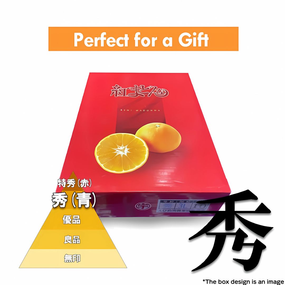 Japanese Premium Orange "Benimadonna (紅まどんな) 3kg Gift Box (High Grade)" miraculous sweet-tasting fruit from Ehime [Delivery between 20th~21st Dec]