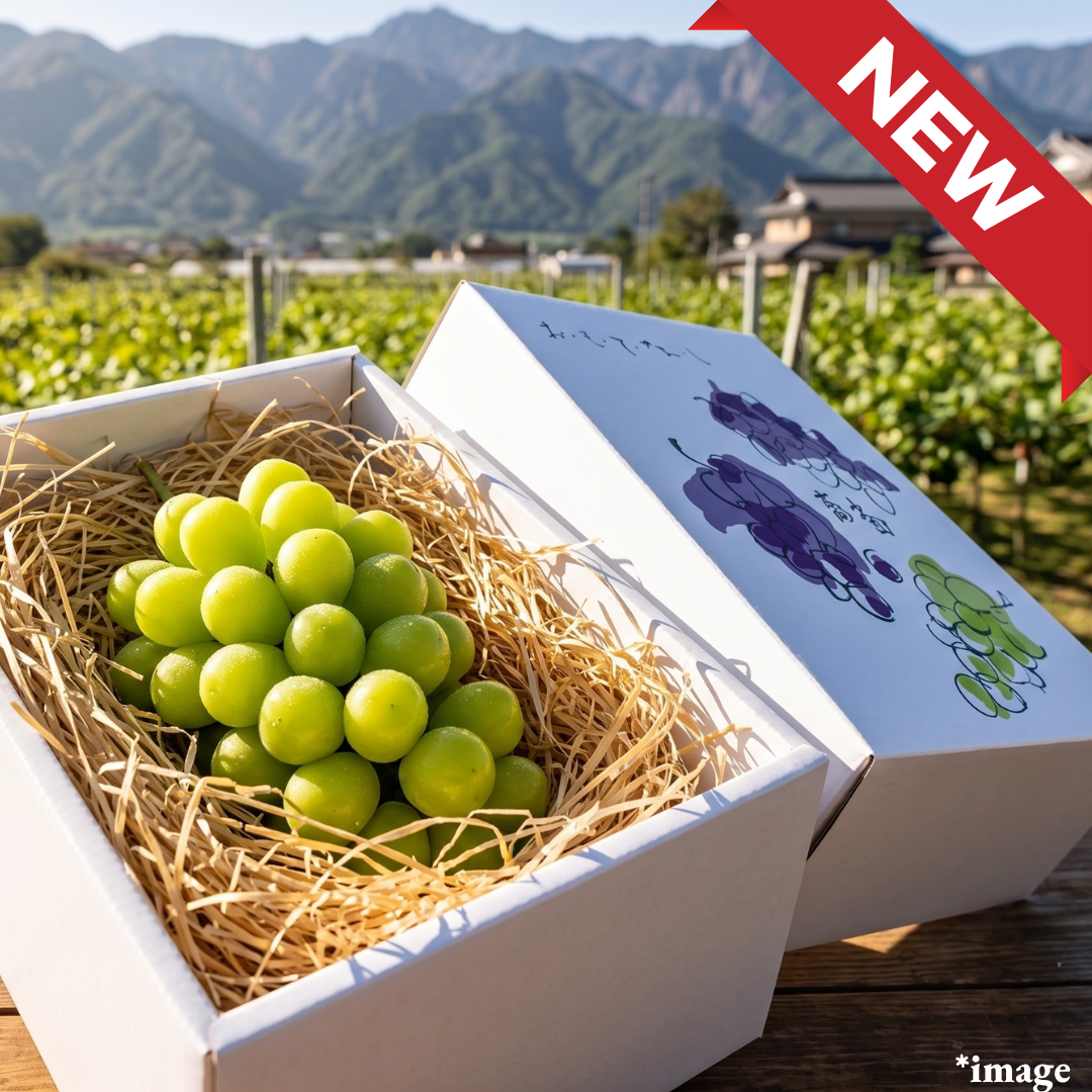 "House Shine Muscat (Giftbox/3L-size/High Grade)", Approx.500g | Delivery: 31th Jul~1st Aug