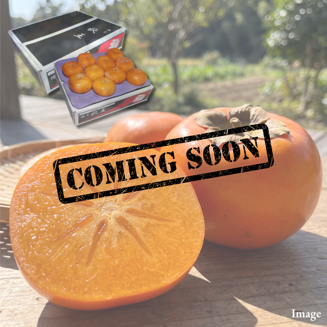 Branded Fukuoka Persimmon “Akioh (L~3L-size/Rare Fruits)”,Born from Two of Japan’s Most Celebrated Persimmon Varieties, Named the “Autumn King” | Delivery: 6th~7th Nov