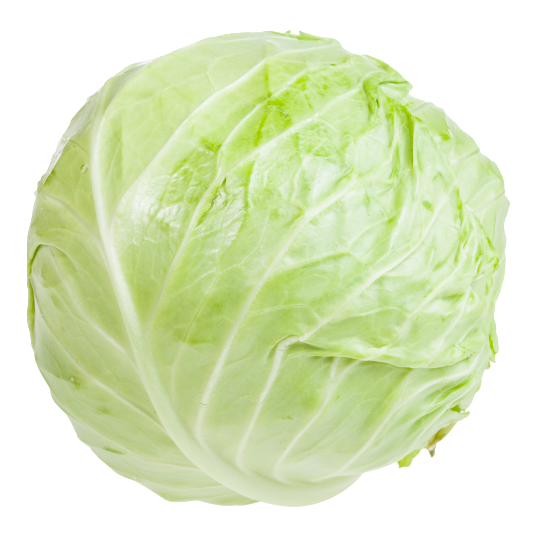 Nagano Highland Sweet Cabbage (approx. 1kg) | Delivery: 12th~13th Sep