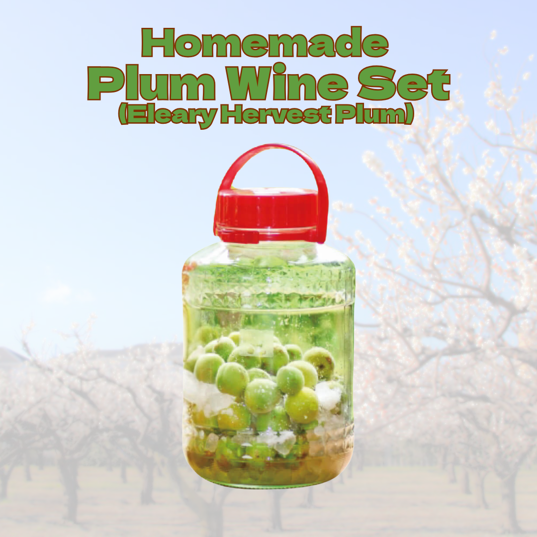 Homemade Plum Wine Set （Early Harvest Plum）– Craft Your Own Japanese Fruit Liqueur［6th ~ 7th June Delivery］