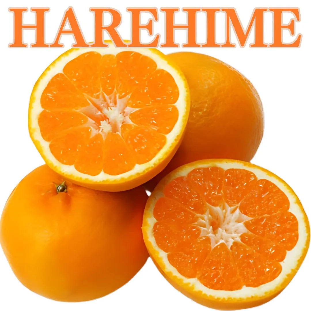 "Harehime (Top Grade)" approx.500g, the name “Princess for a sunny day” from Ehime [Delivery between 10th~11th Jan]