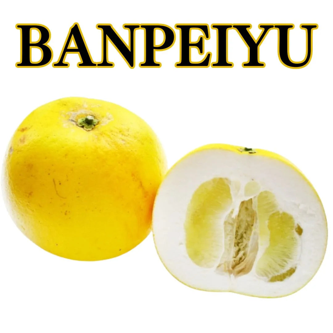 "Banpeiyu (Top Grade)" approx.1.5kg/1pc, citrus fruits of top-class size from Kumamoto [Delivery between 10th~11th Jan]