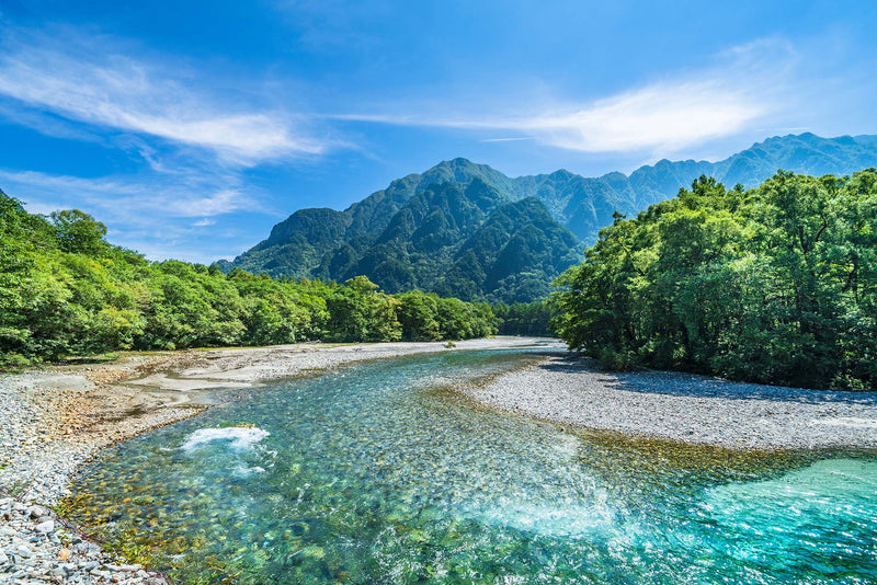 Kami_Kochi.jpg__PID:0cb4d95b-b3ac-4fca-aa9b-050f1f6a89ca