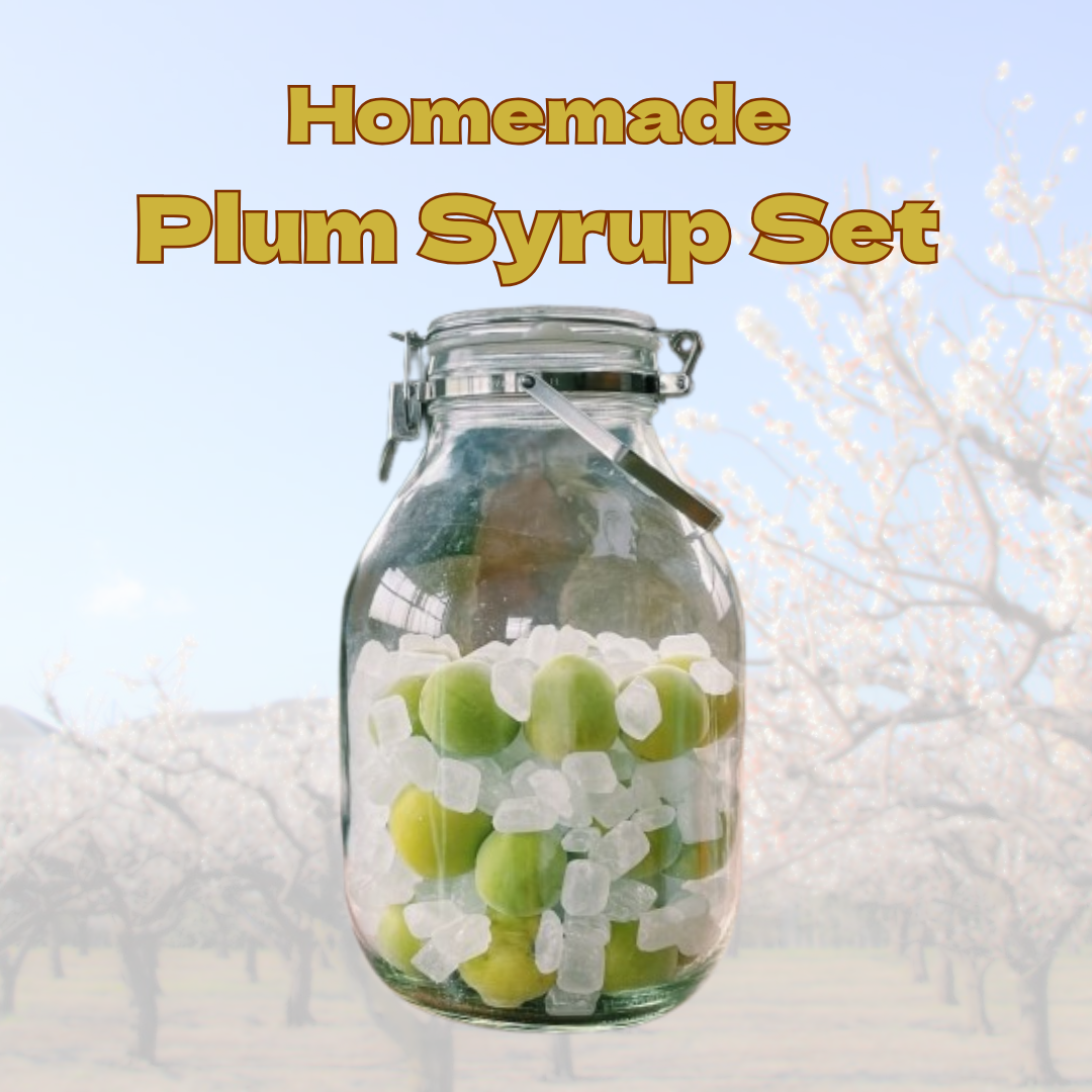 Homemade Plum Syrup Set – A Refreshing Japanese Classic Made by You［13th ~ 21st June Delivery］