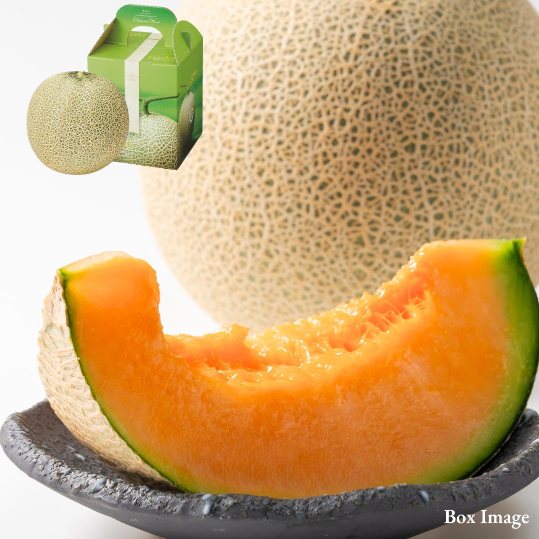 "Hokkaido Red Melon (Giftbox/Extra-Large 5L-size/High Grade)", rich in nutrients, with a strong sweetness and mellow aroma, Approx2kg | Delivery: 23th Oct~7th Nov