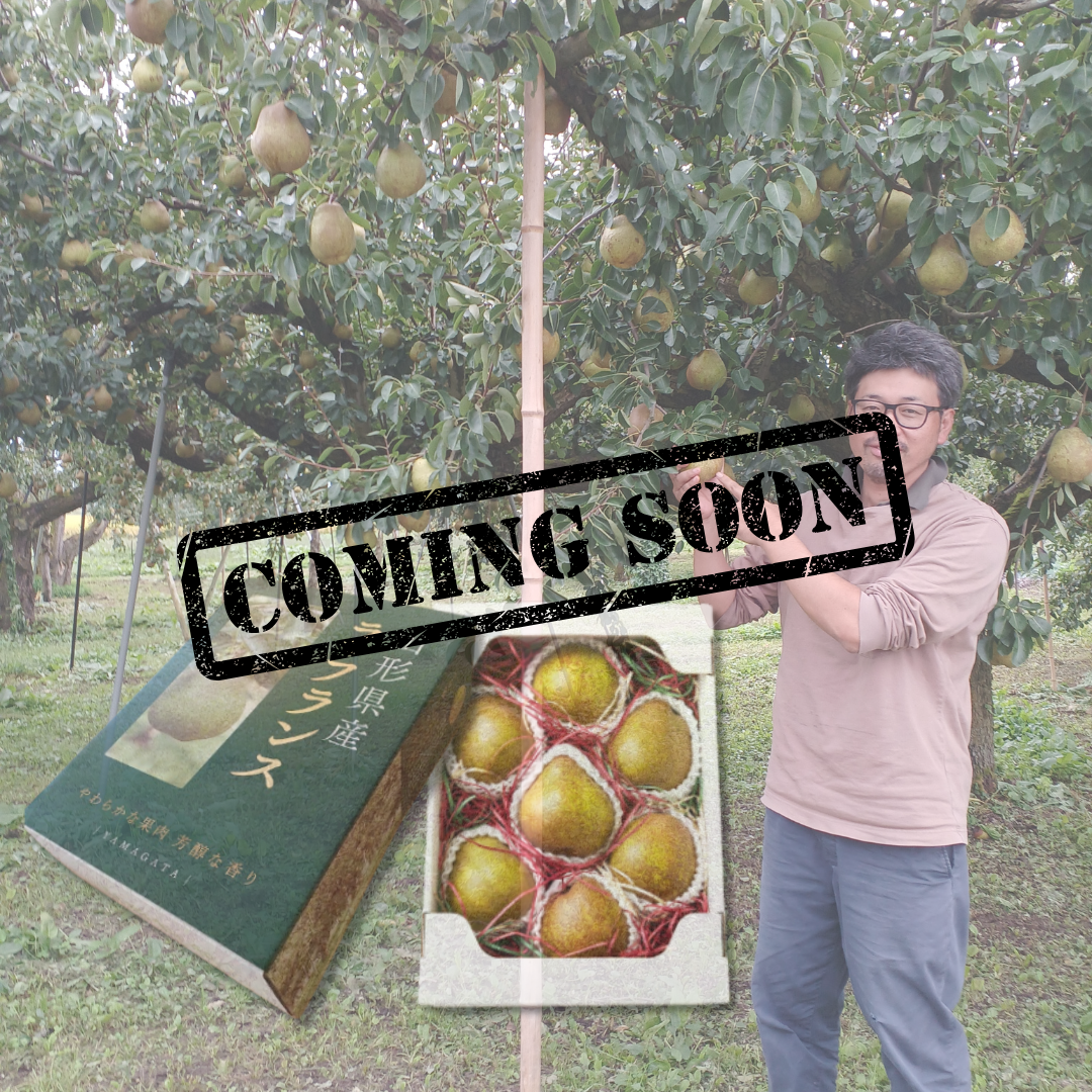 Grower’s Selection 5L/6L Giftbox "Yamagata La France (Giftbox/5~6L-size/Farm-Direct)", The “Queen of Western Pears,” Silky-Melting & Richly Fragrant | Delivery: 13th~14th Nov