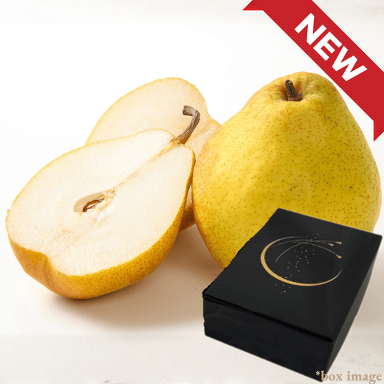 A Rare Pear Known Only to Connoisseurs "Laneige", 2kg Giftbox | Delivery: 19th - 20th Dec - Tokyo Fresh Direct