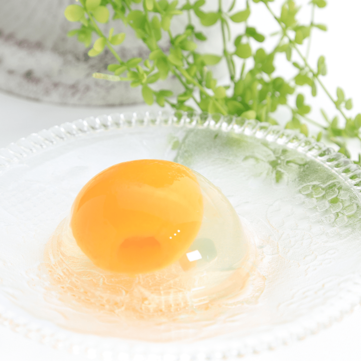 AJISAI Exquisite Mogi Biwa Loquat Jelly 3P - Tokyo Fresh Direct