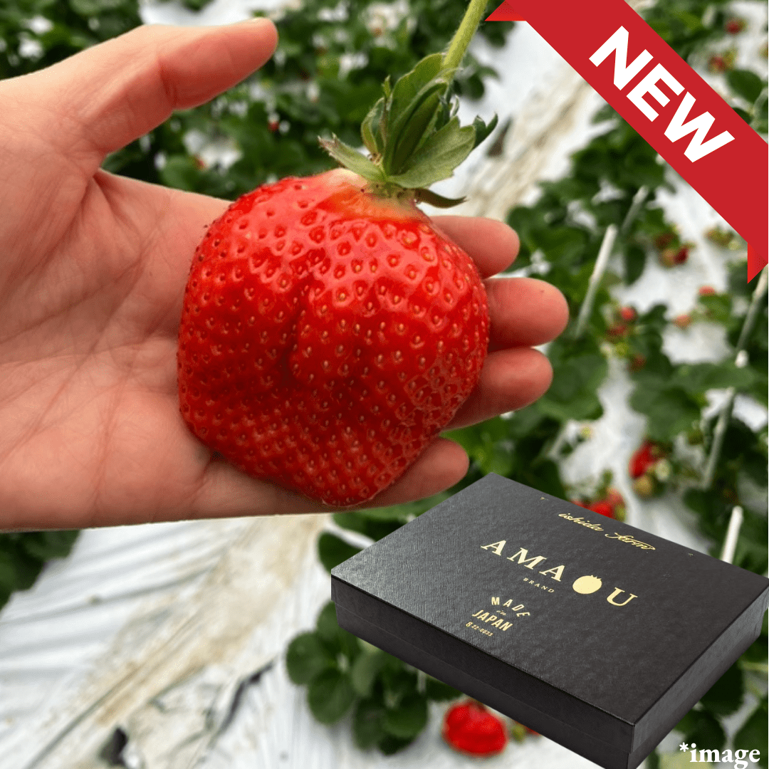 ”Amaou (Giftbox/L - size from Ishida Farm)”, Big, Red, Round, Delicious — Fukuoka’s Beloved Premium Strawberry, Approx.700g(2packs) | Delivery: 3rd - 4th Apr - TFD (Tokyo Fresh Direct)