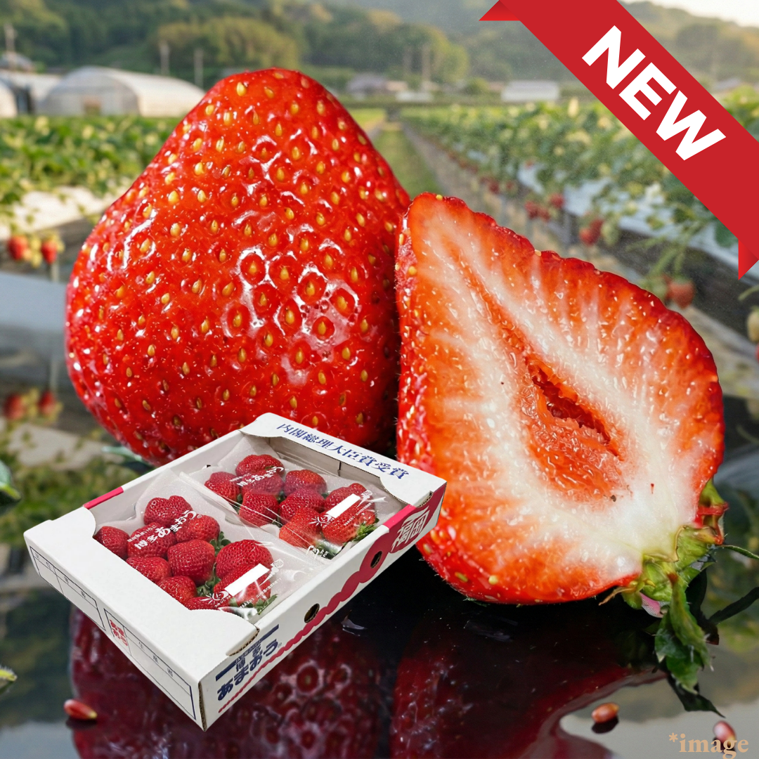 ”Amaou (High Grade)”, Big, Red, Round, Delicious — Fukuoka’s Beloved Premium Strawberry, Approx.550g(2packs) | Delivery: 20th - 21st Mar - TFD (Tokyo Fresh Direct)