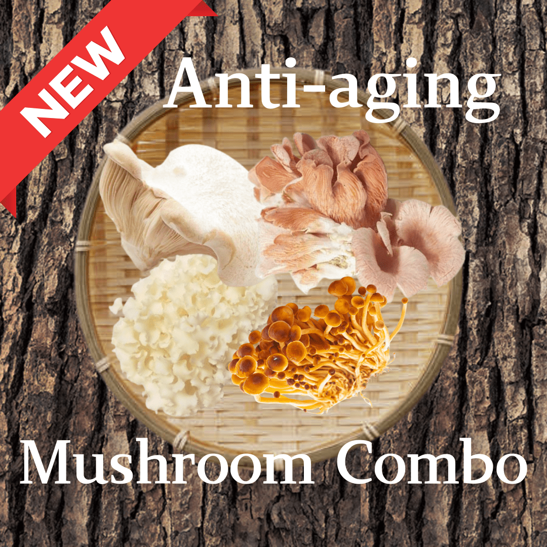 Anti - aging Mushroom Combo [Delivery between 7th~8th Mar] - Tokyo Fresh Direct