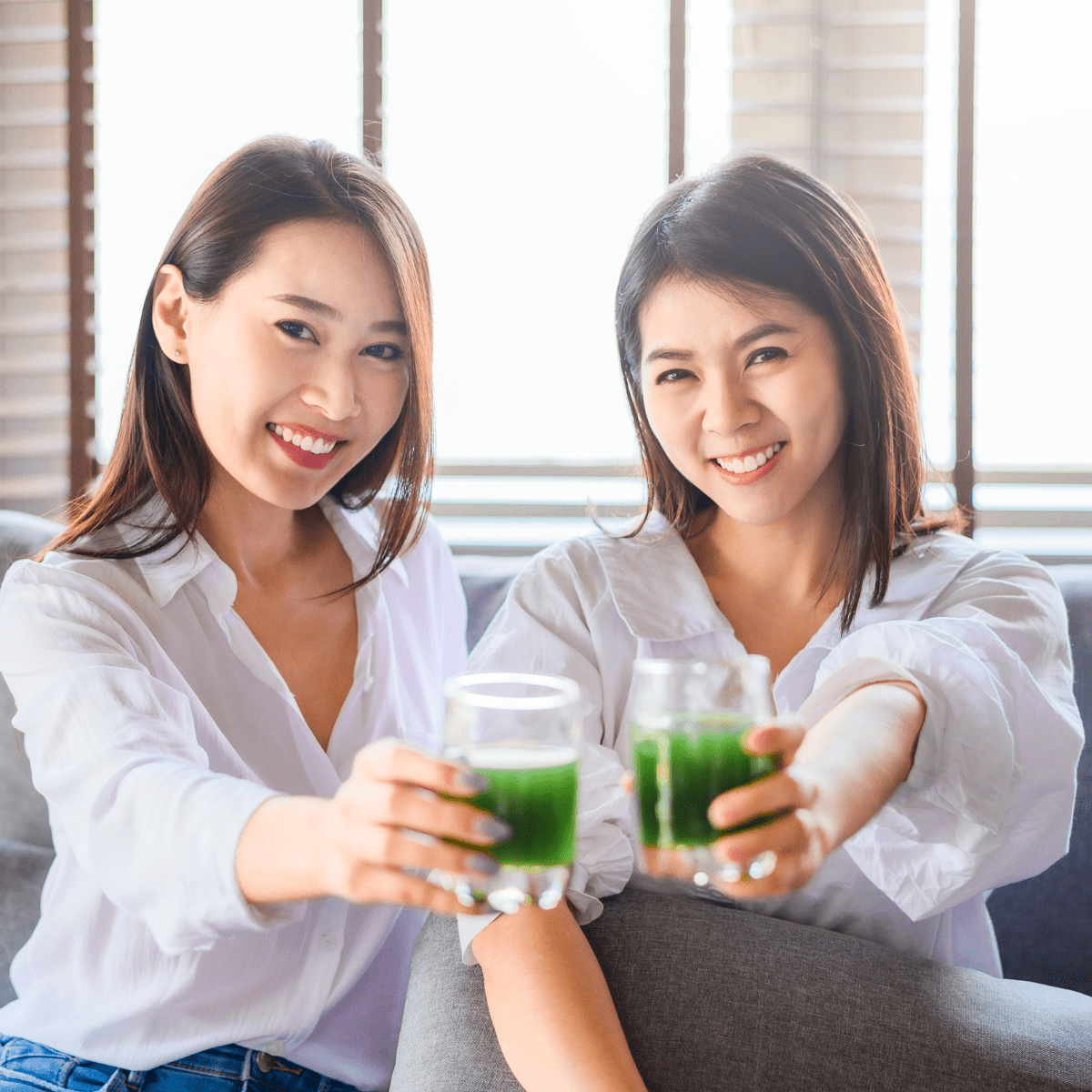 Aojiru Green Juice EXTRA with Enzyme Shikwasa Citrus Flavor - Tokyo Fresh Direct