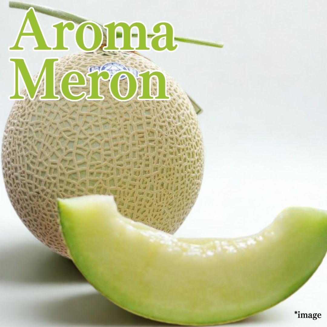"Aroma Melon (Top Grade)", King of Melon from Shizuoka, Gift Box/approx.1.3kg | Delivery: 8th~9th Aug - Tokyo Fresh Direct