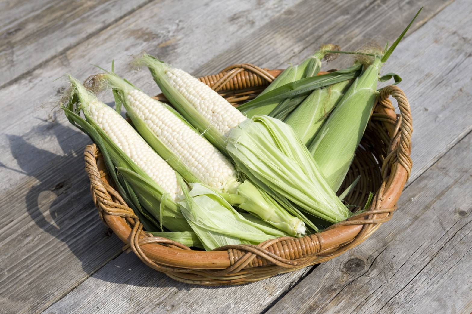 As Sweet As Fruit! Premium White and Yellow Corns Set from Hokkaido [23 - 24th Aug Delivery] - Tokyo Fresh Direct