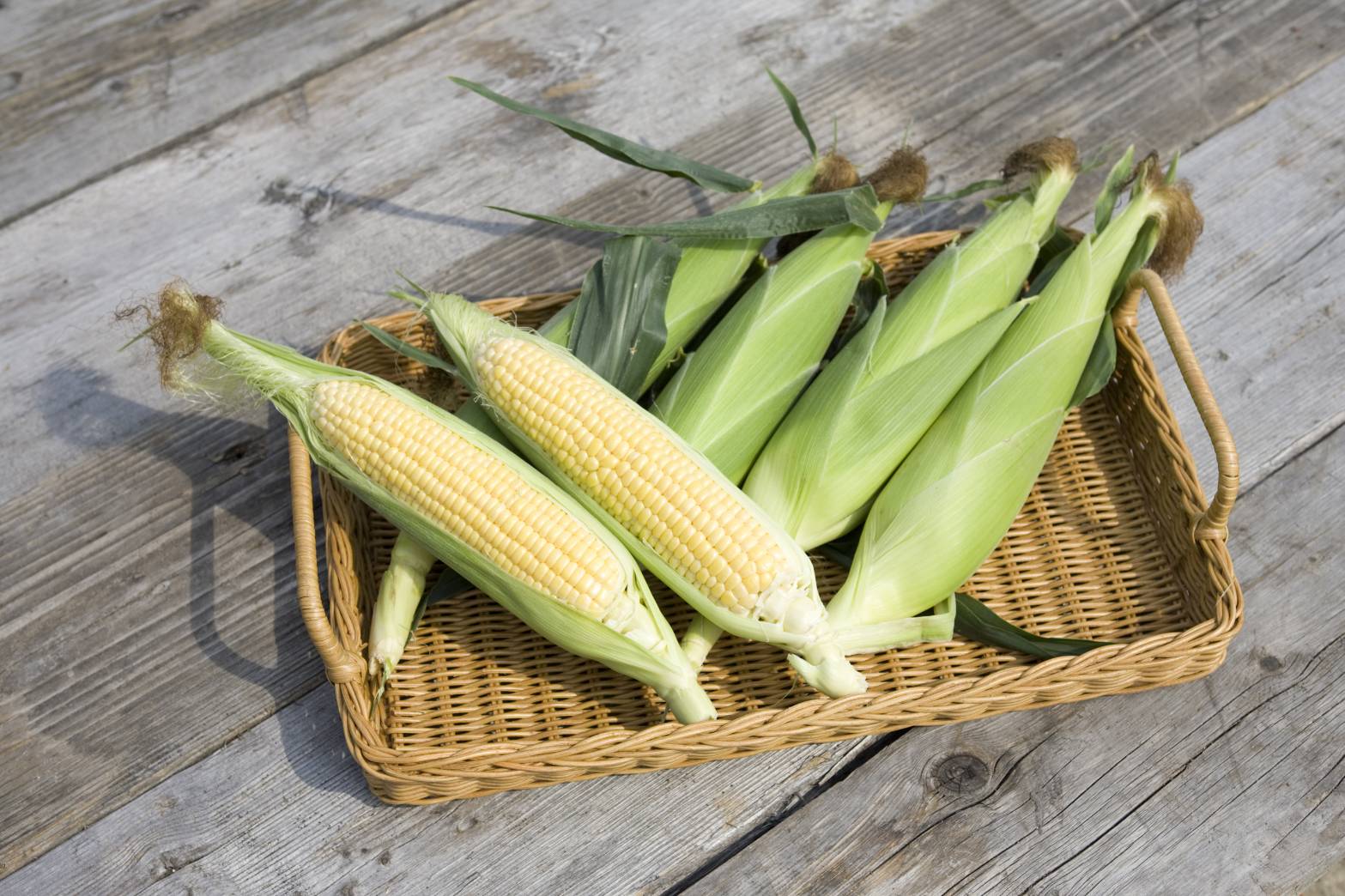 As Sweet As Fruit! Premium White and Yellow Corns Set from Hokkaido [23 - 24th Aug Delivery] - Tokyo Fresh Direct