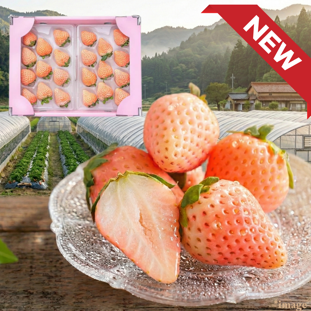 ”Awayuki (High Grade/Big size)”, Sweet, Sakura - Colored Strawberries from Saga, Approx.440g(2packs) | Delivery: 20th - 21st Mar - TFD (Tokyo Fresh Direct)
