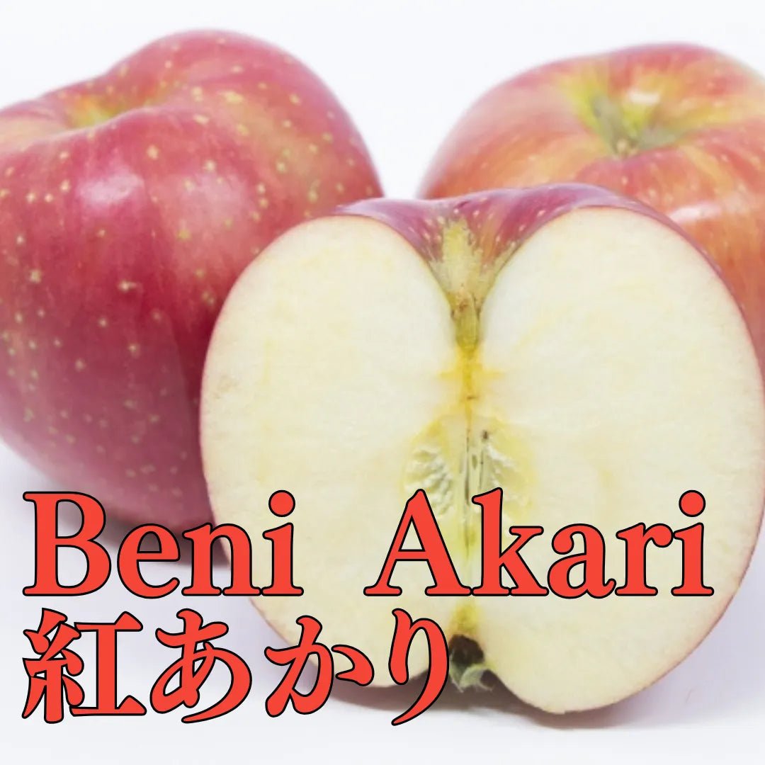 “Beni Akari (High Grade)" approx.500g/2pc, Bright red starry - sky pattern from Akita [Delivery between 29th~30th Nov] - Tokyo Fresh Direct